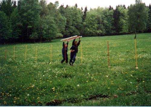 Geländespiel 10 Jahre JF Kleinschmalkalden 2003 - Leiterslalom
